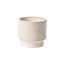 Minipot D11,5 CUMIN cream
