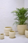 Pot orch.D16 BAMBOO beurre